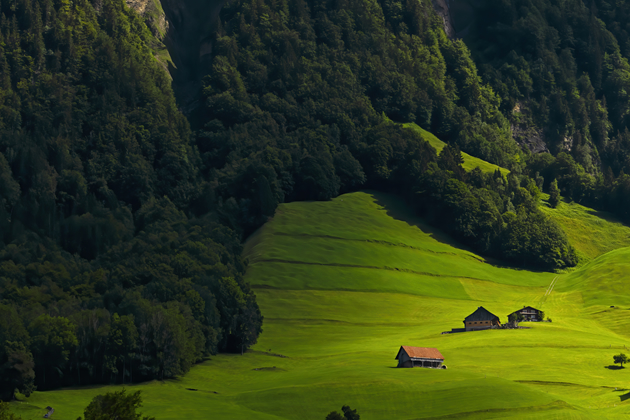 Karadeniz Yaylaları Turu Rehberi
